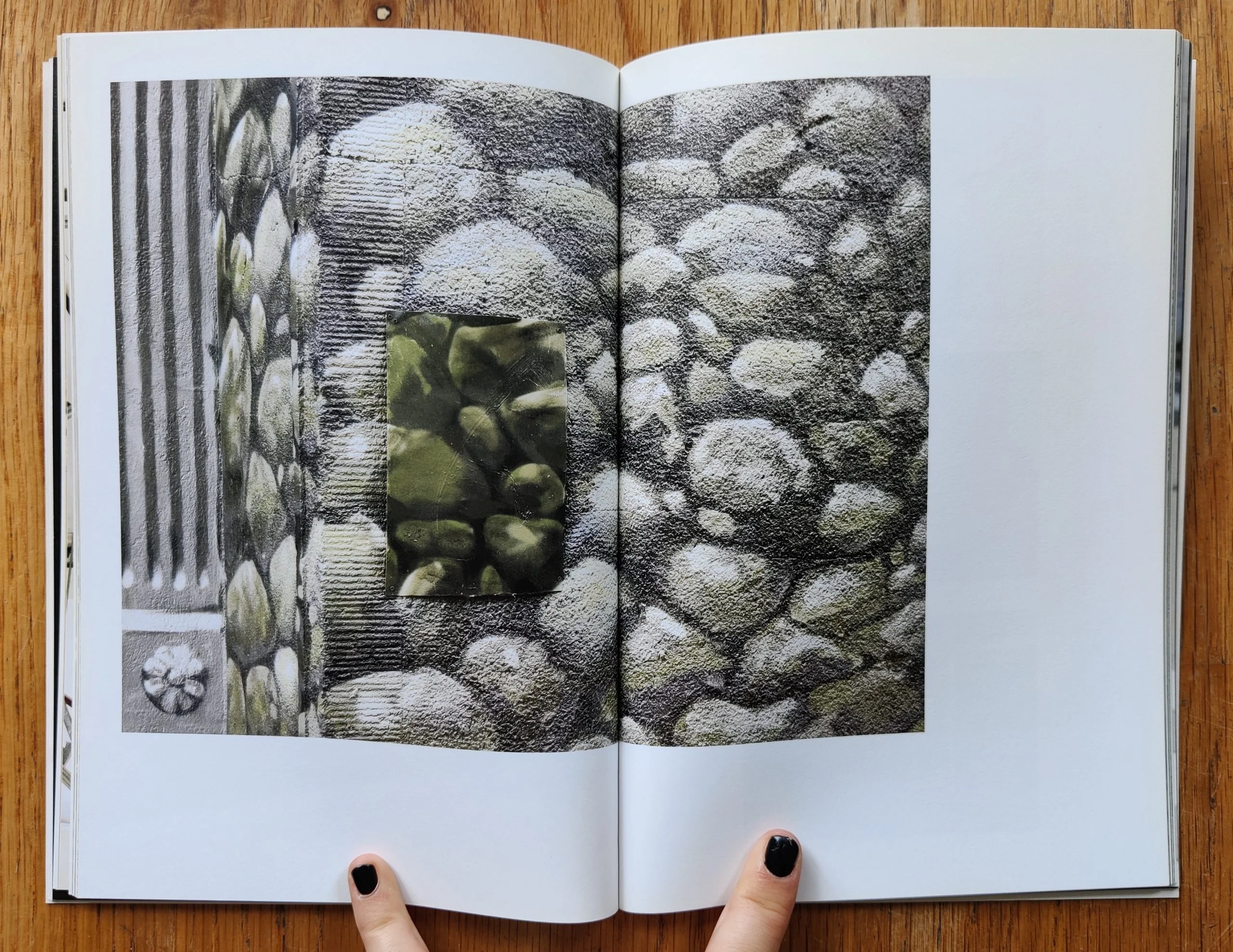 48 Recent Photographs - Image 5