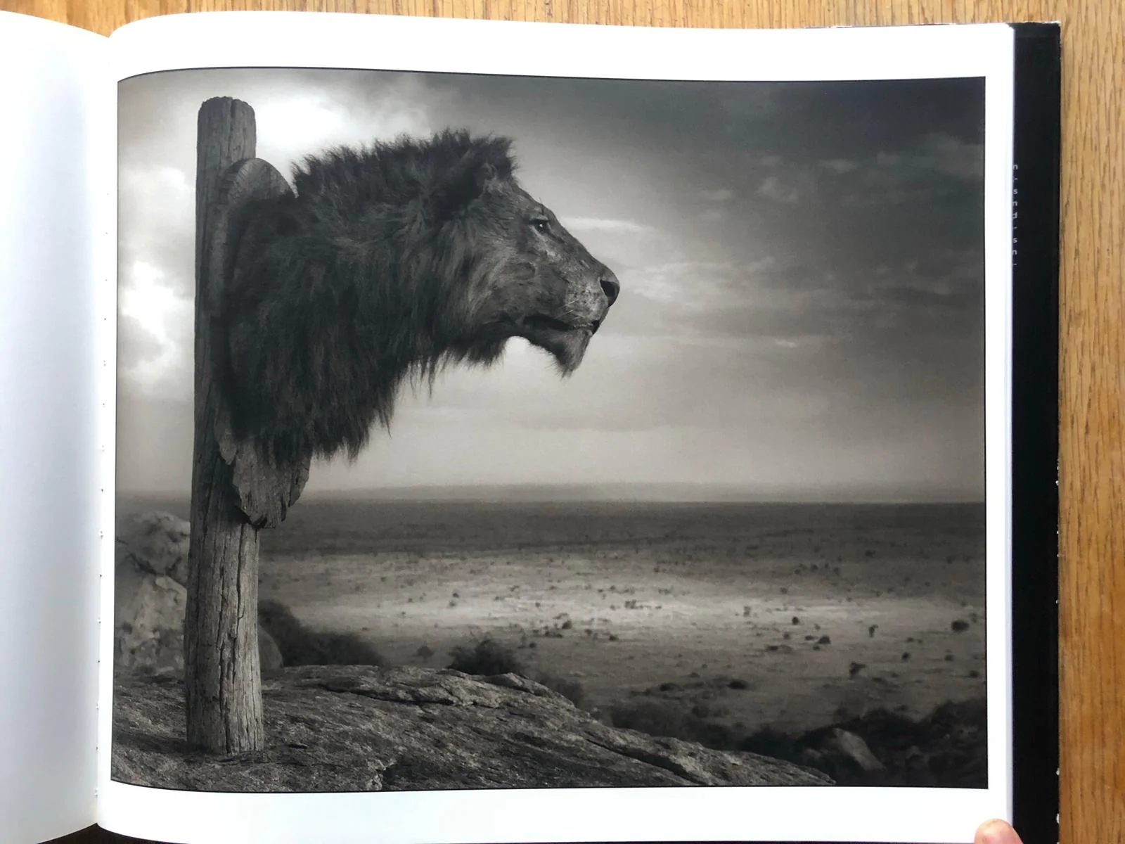 Across the Ravaged Land - Image 3