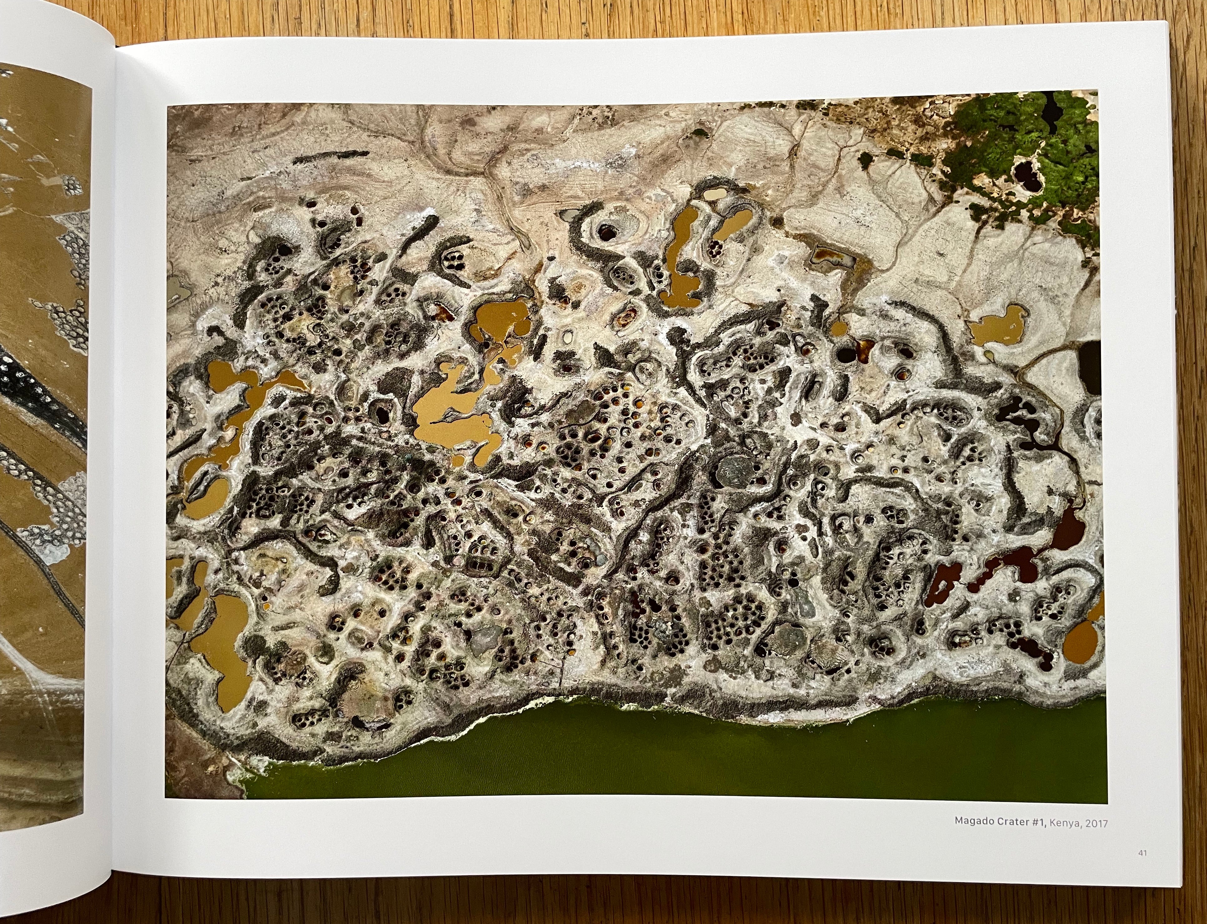 African Studies - Image 4