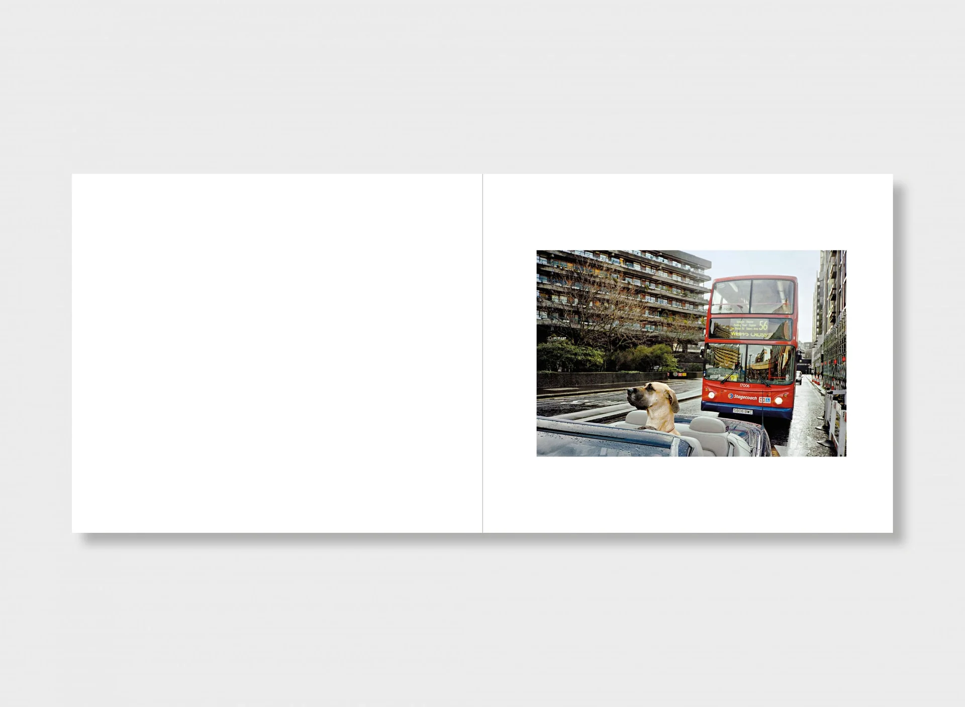 All That Life Can Afford - Special Edition (4 Print Options) - Image 8