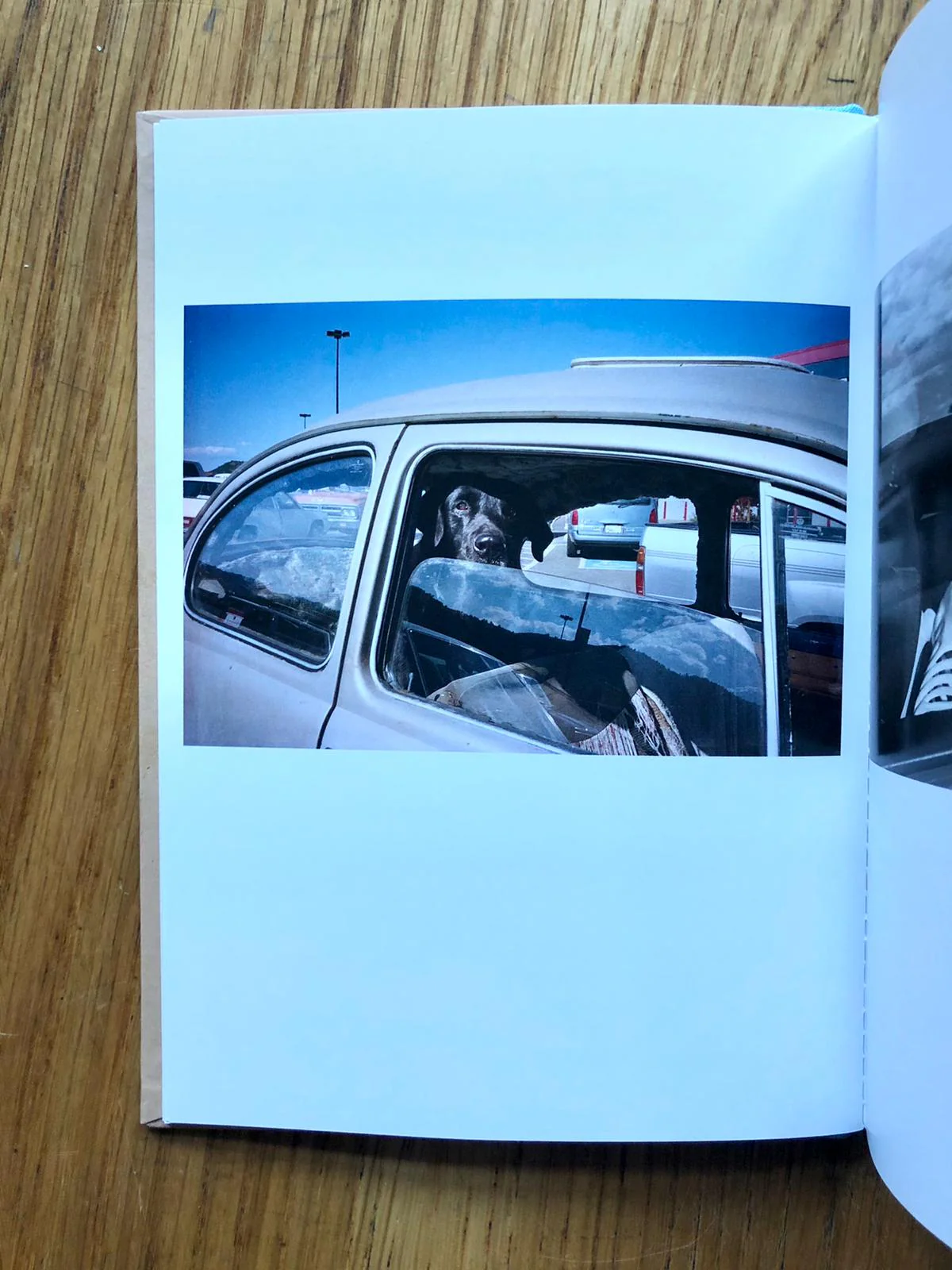 Auto-Hypnosis (One Picture Book) - Image 4