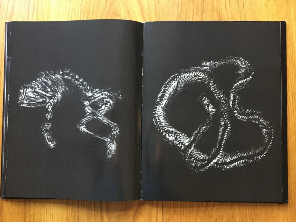 Black Light - Image 6