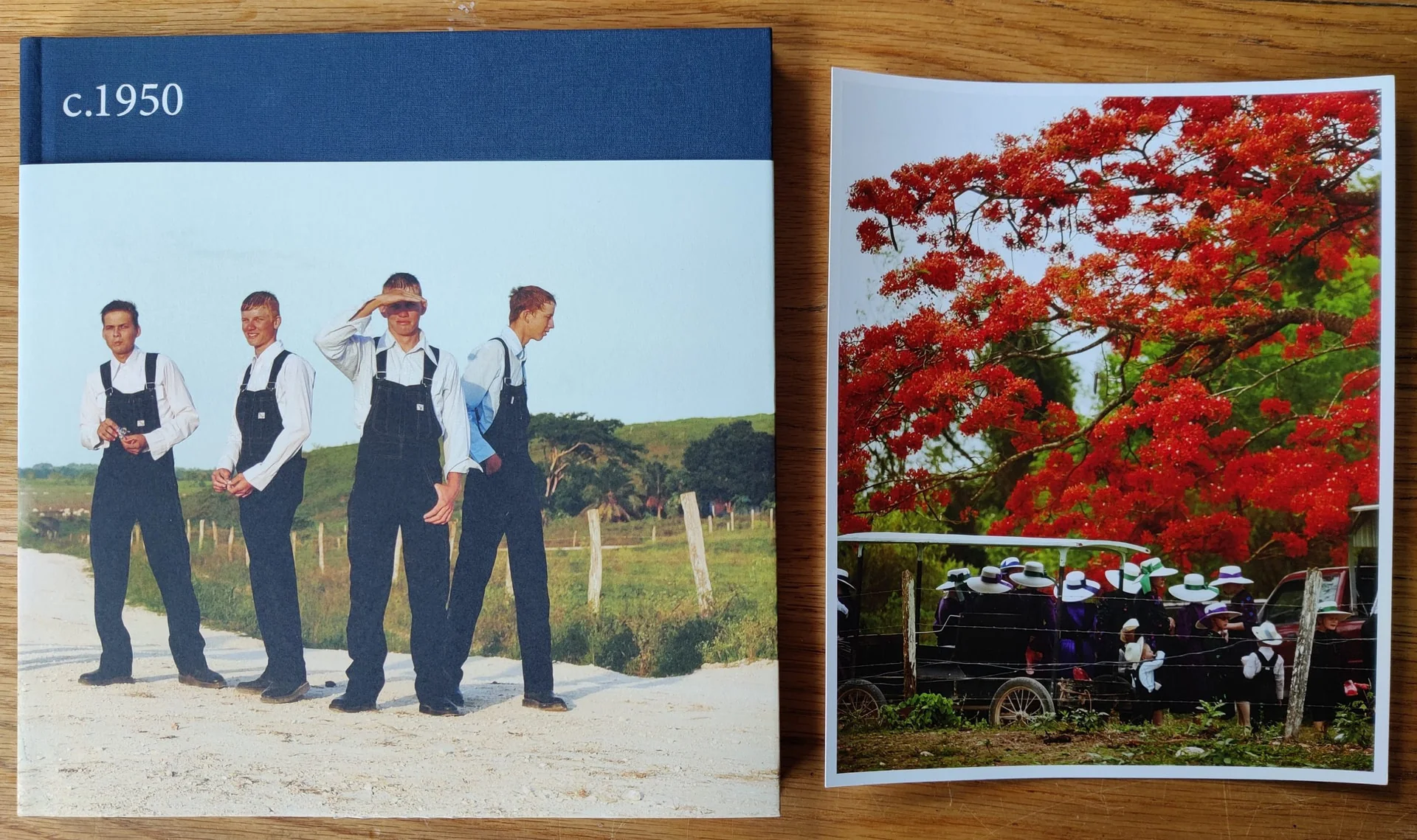 c.1950 - Special Edition (4 Print Options) - Image 3