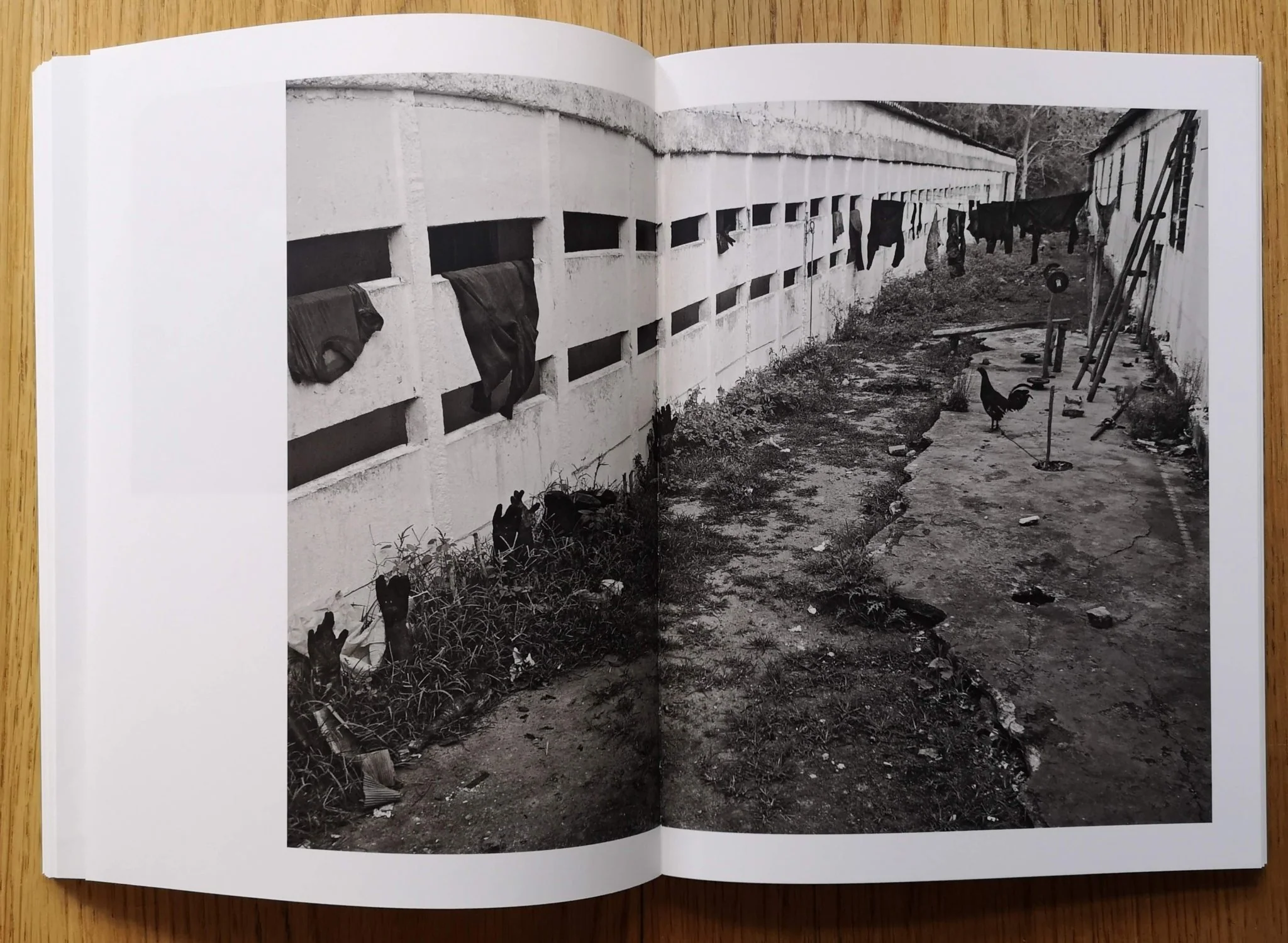 Desmemoria - Image 14