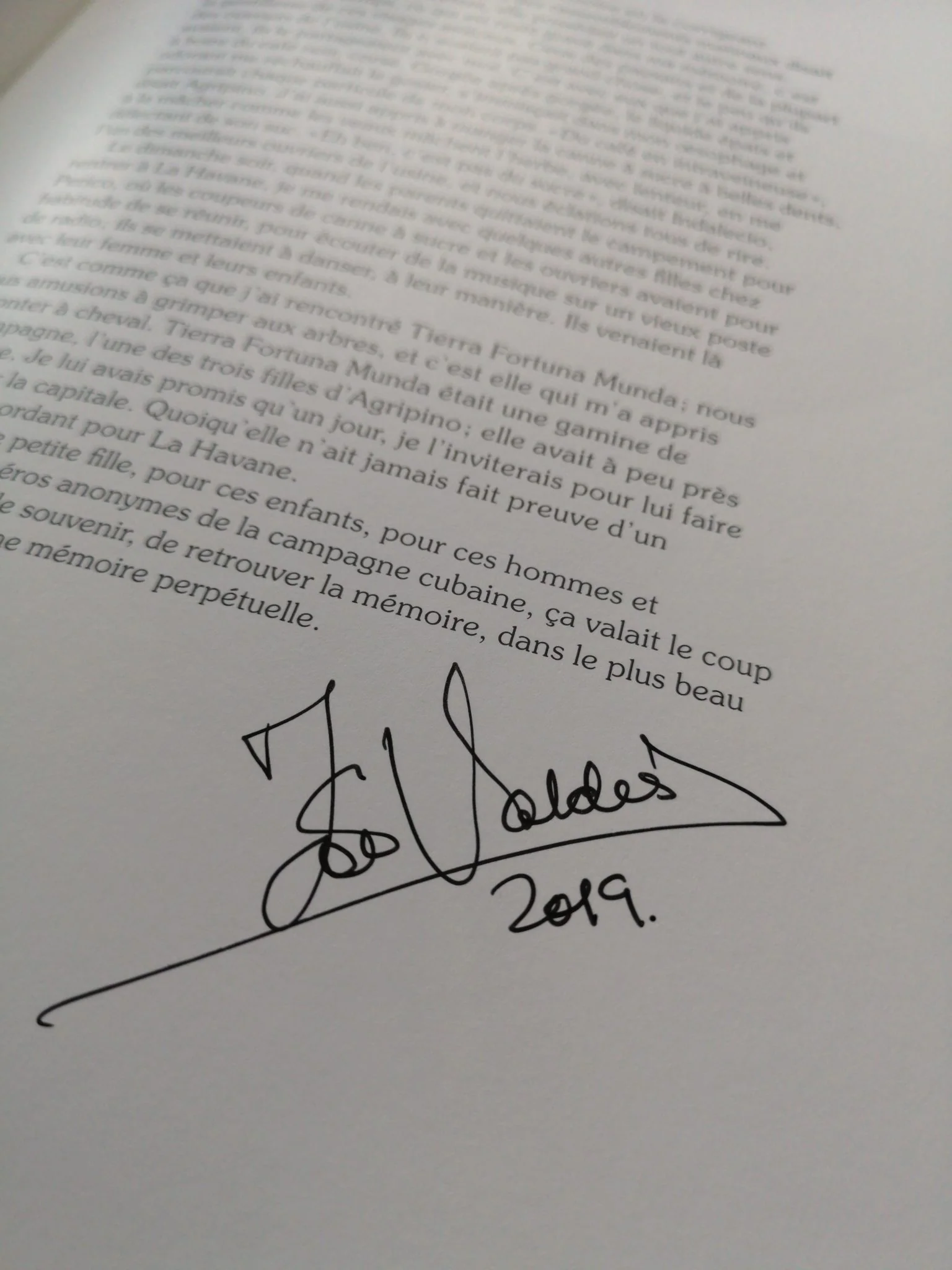 Desmemoria - Image 3