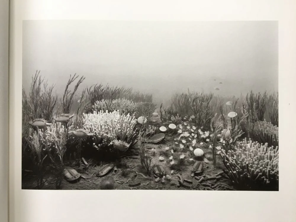 Dioramas - Image 3