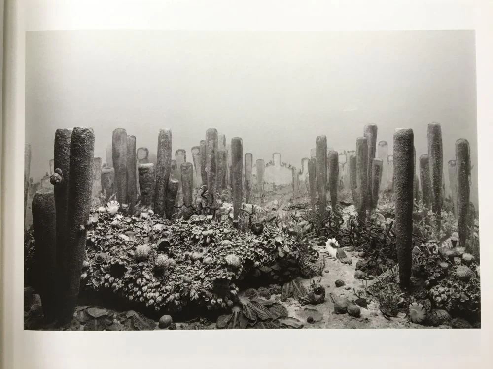 Dioramas - Image 4