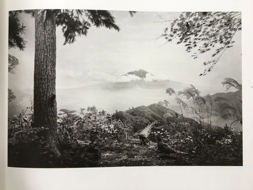 Dioramas - Image 5