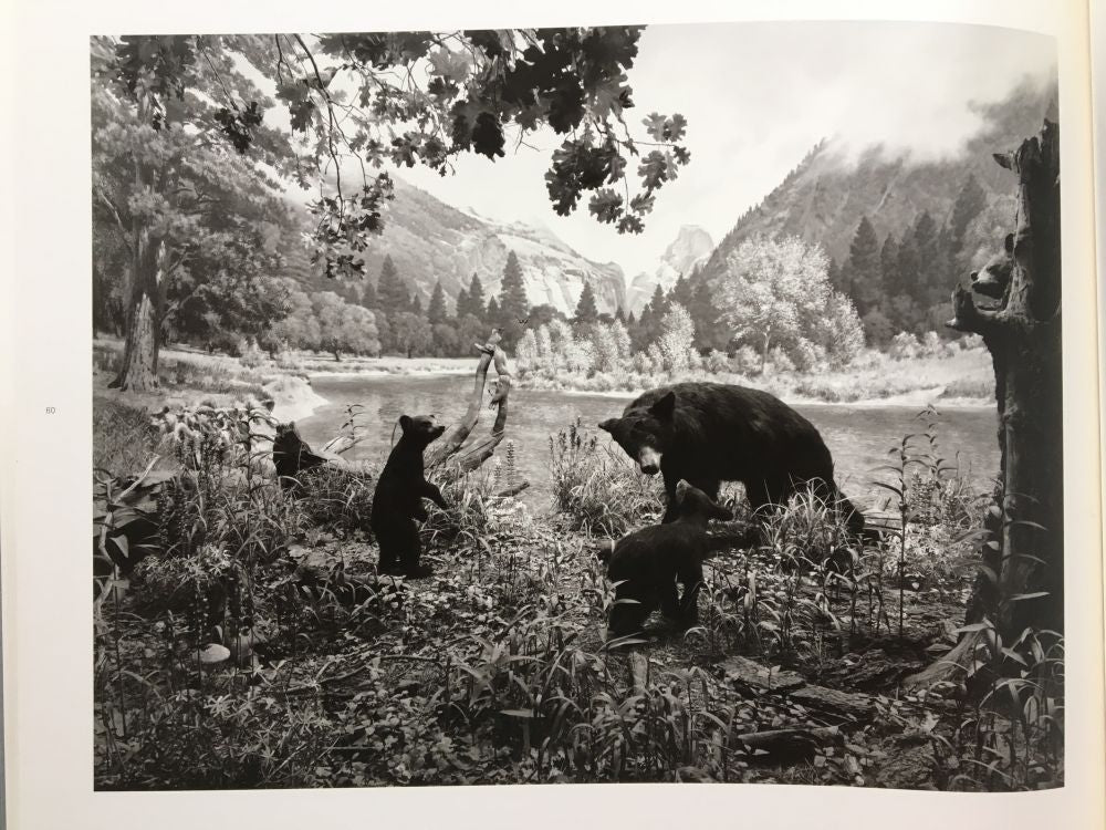 Dioramas - Image 6