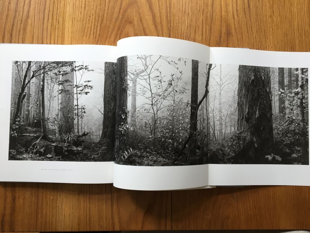 Dioramas - Image 7