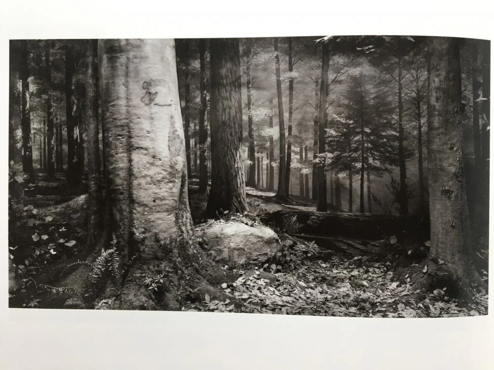 Dioramas - Image 8