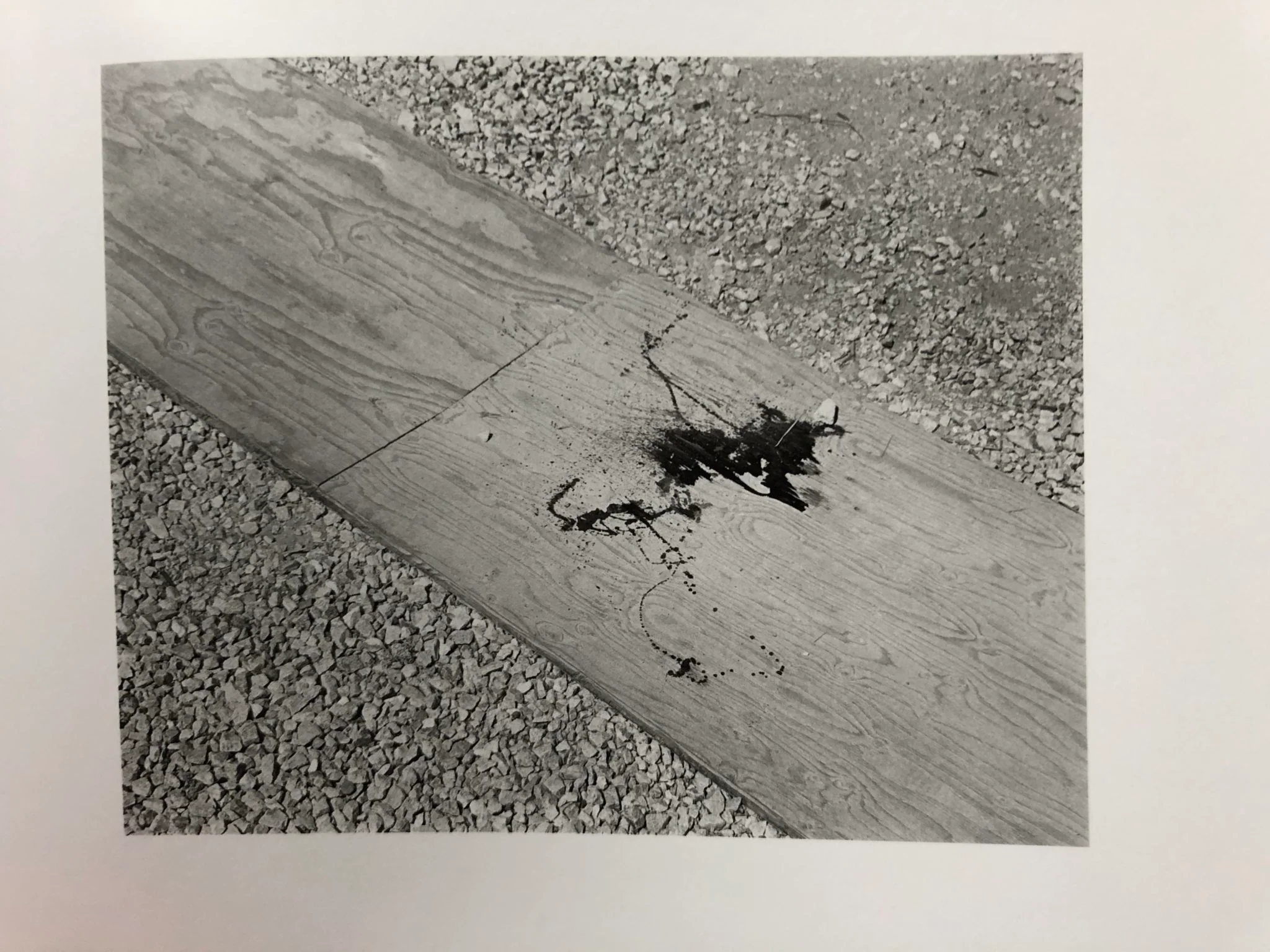 Domesticated Land - Image 5