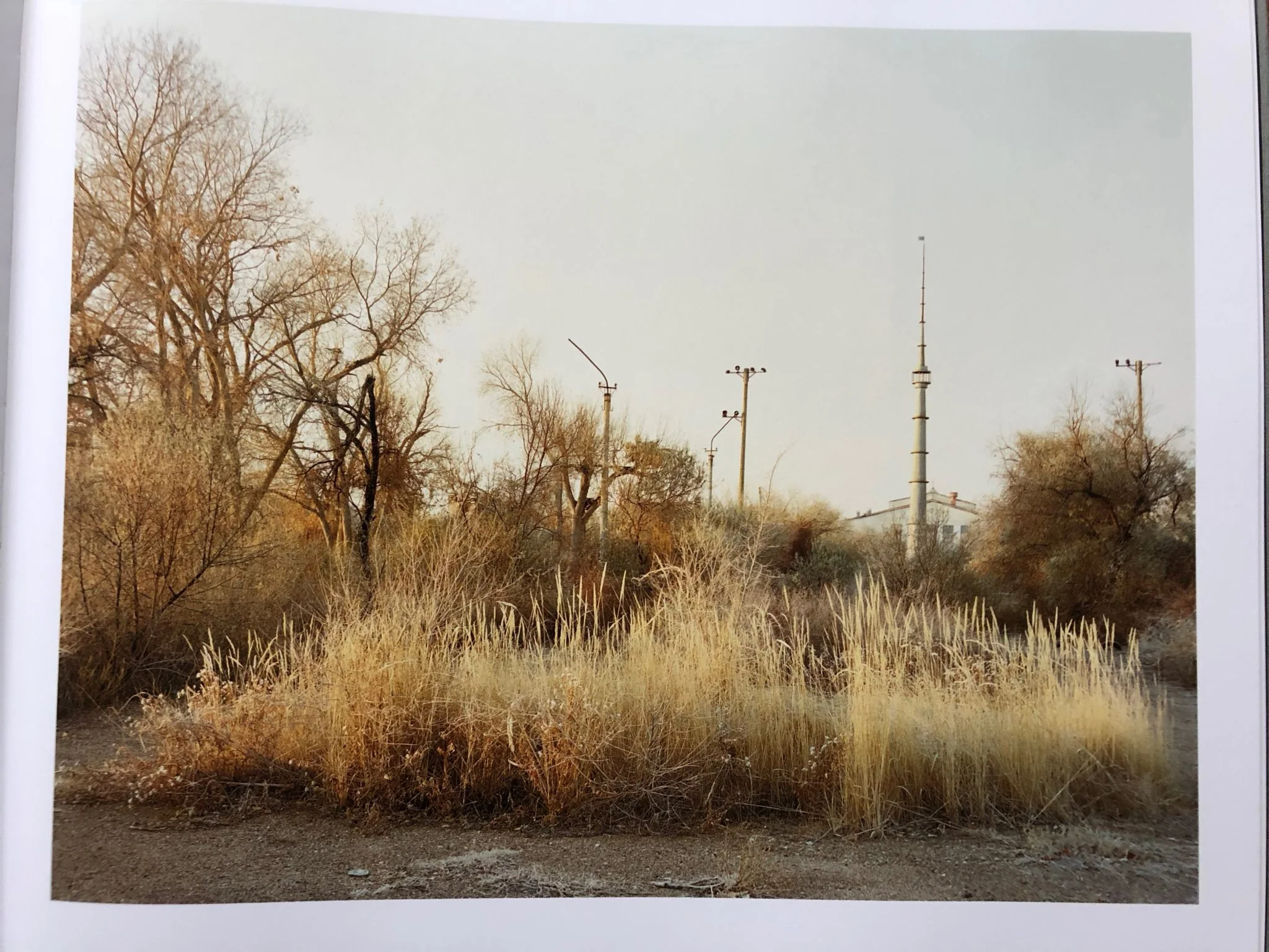 Dust - Image 7