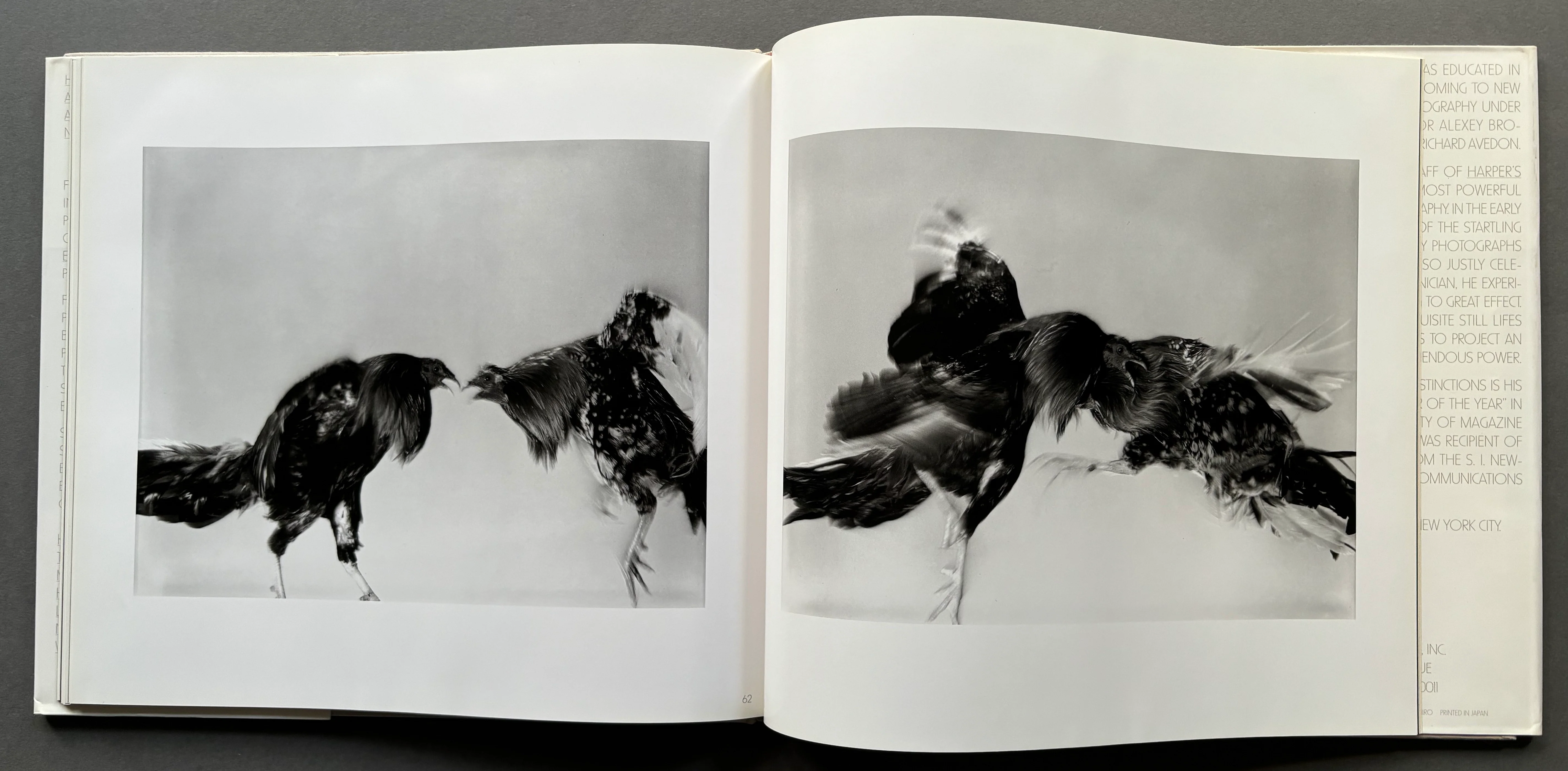 Fighting Fish / Fighting Birds - Image 4