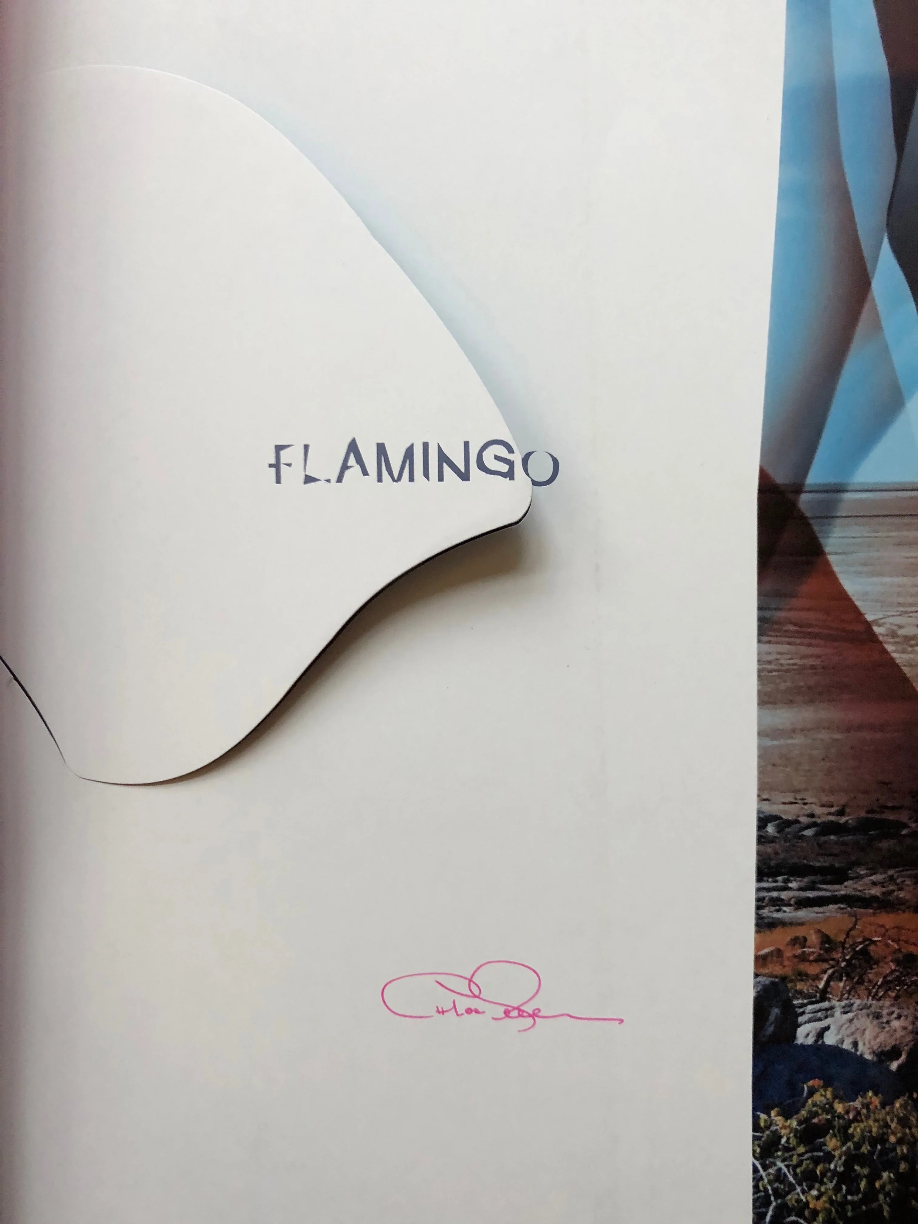 Flamingo - Image 3