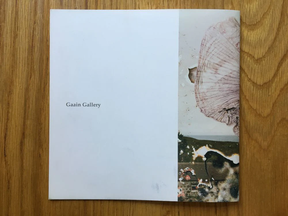 Hackney Flowers Catalogue - Image 5