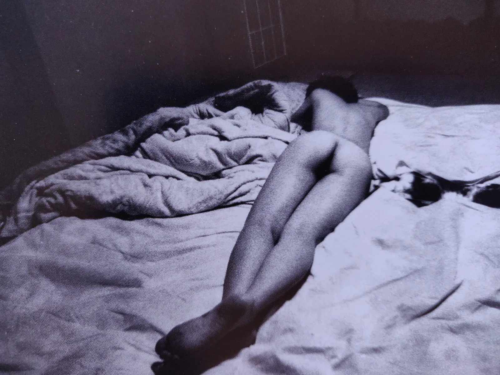 Impossible Love - Image 6
