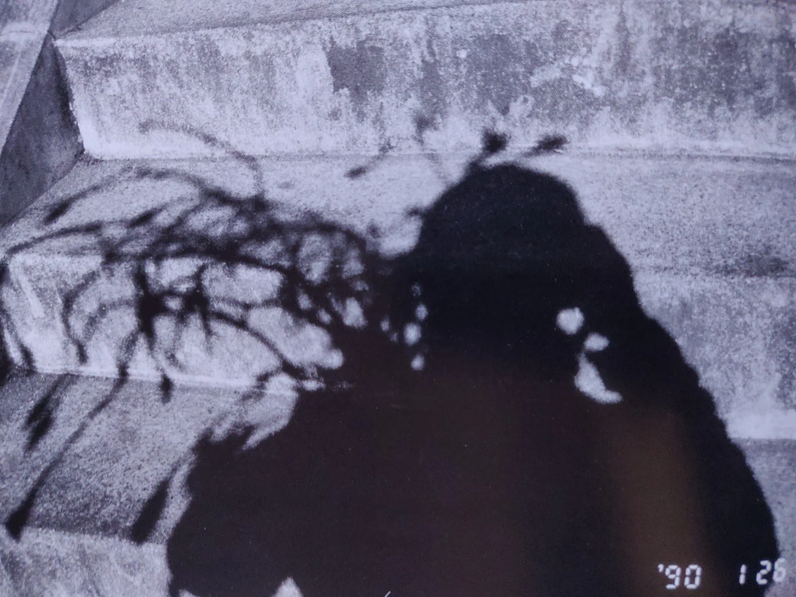 Impossible Love - Image 9