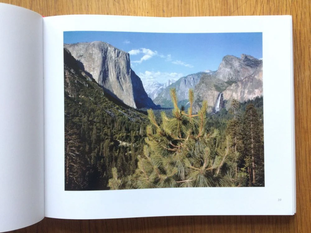 In Color - Image 3