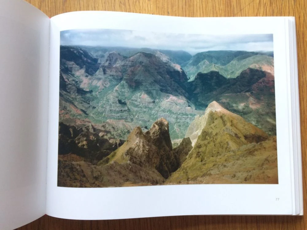 In Color - Image 5