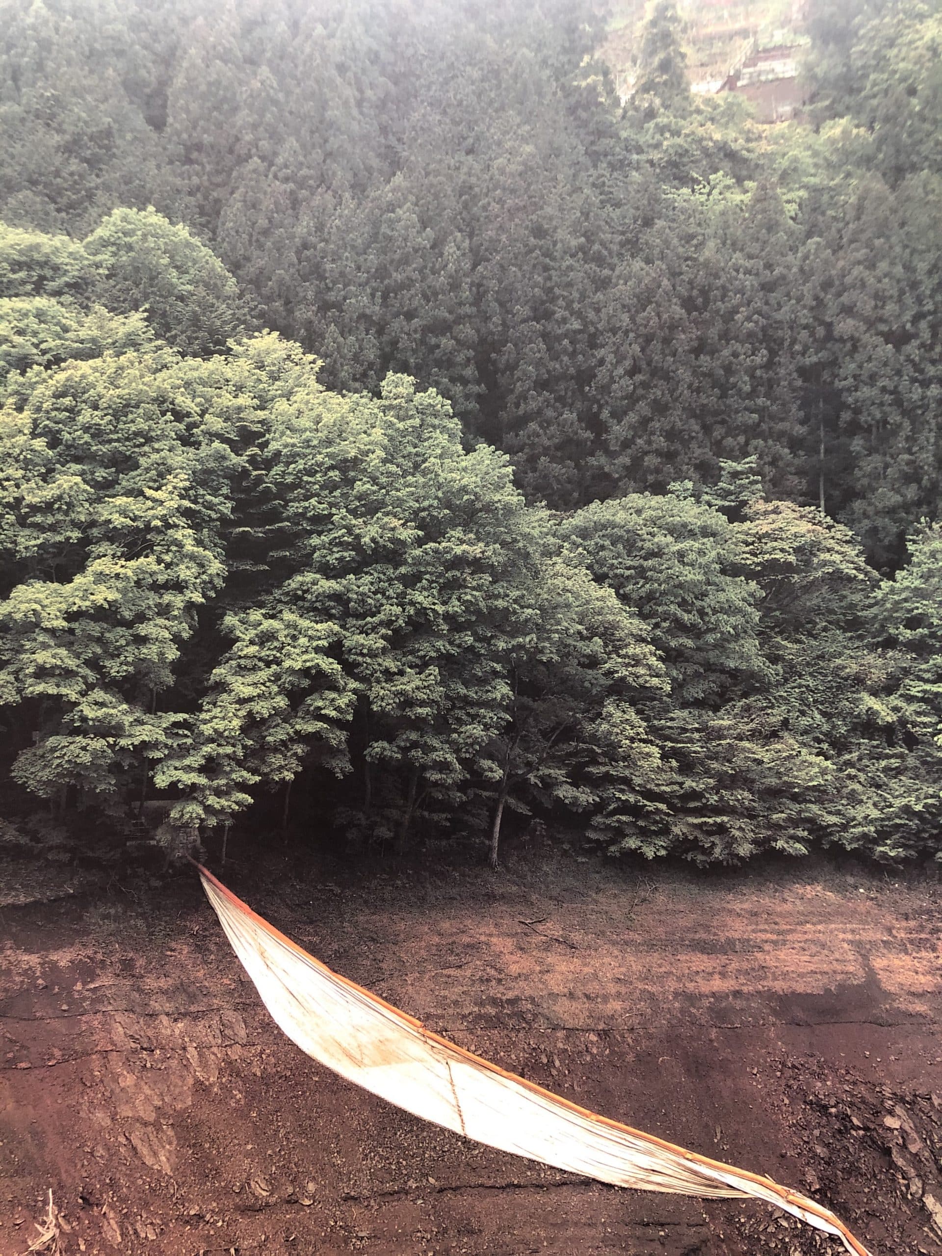 Landscape 2 - Special Edition with a print - Image 6
