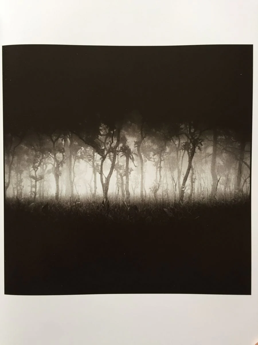 Landscape 2007-2014 - Image 4