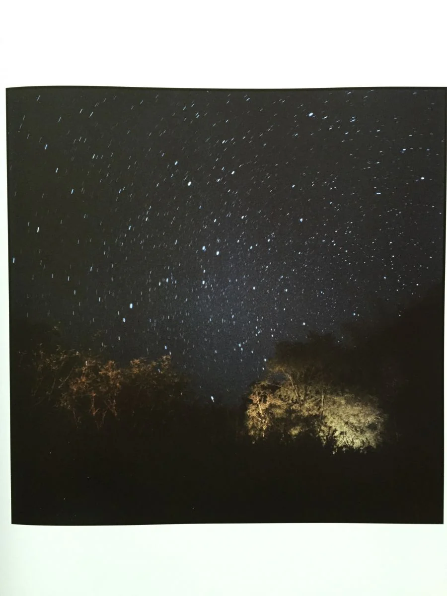 Landscape 2007-2014 - Image 5