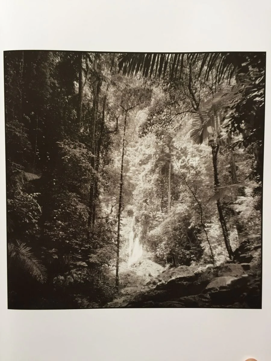 Landscape 2007-2014 - Image 6