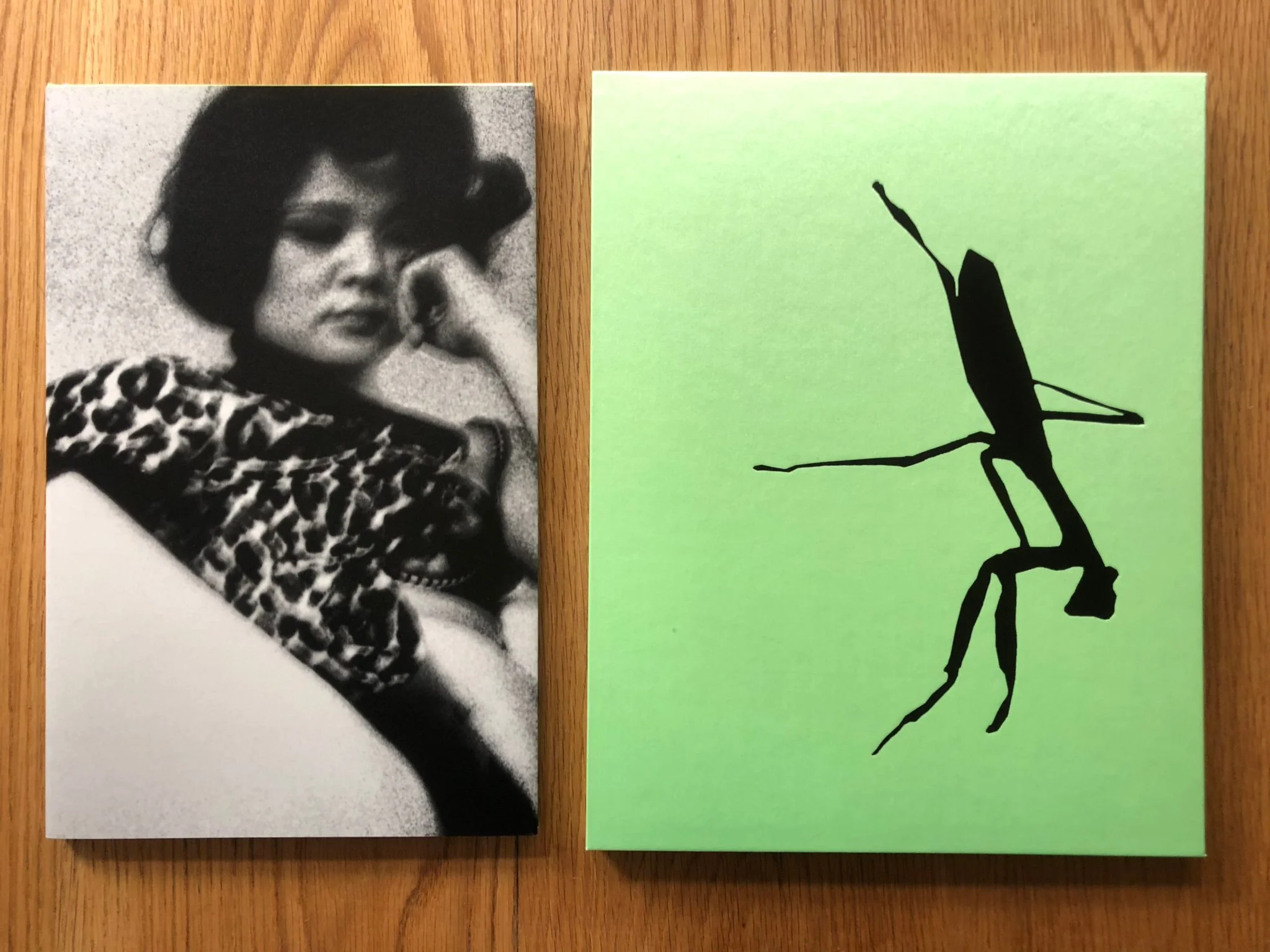 Mantis - Image 7