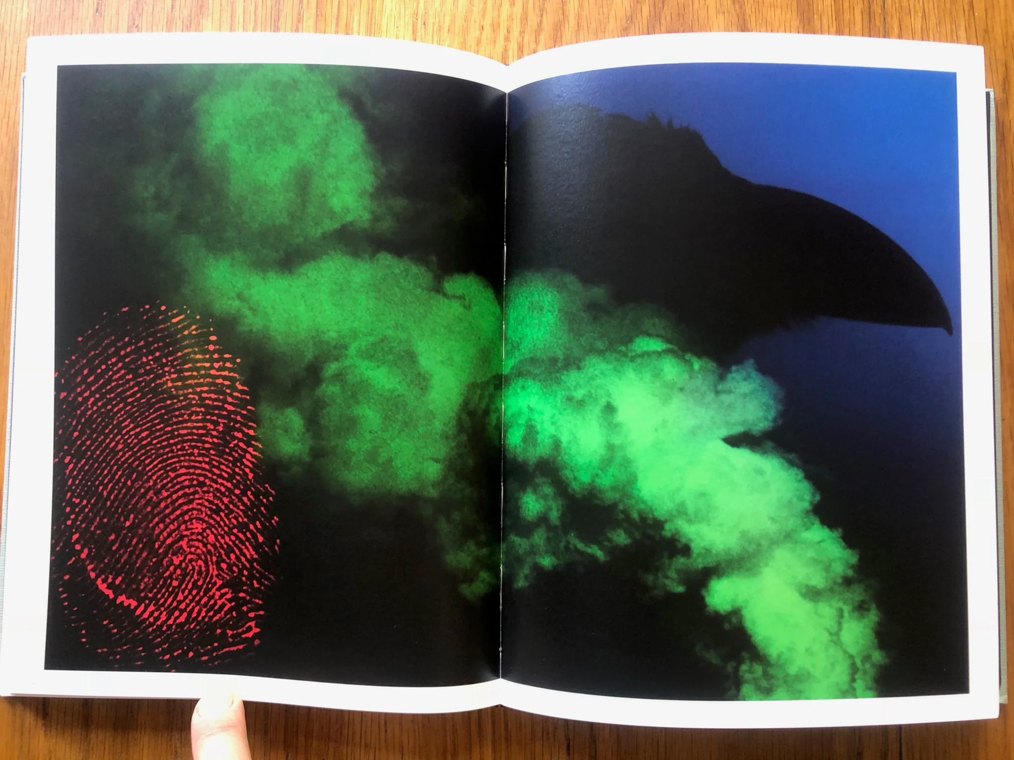 Masahisa Fukase - Image 4