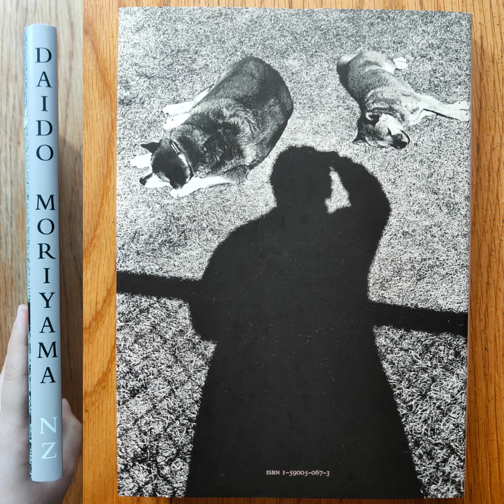 Memories of a Dog - Image 11