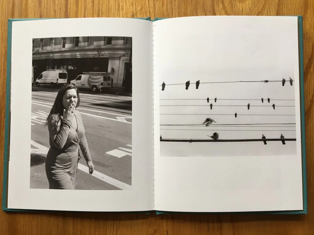 Memories of the Salt Charged Whiffs (One Picture Book) - Image 7