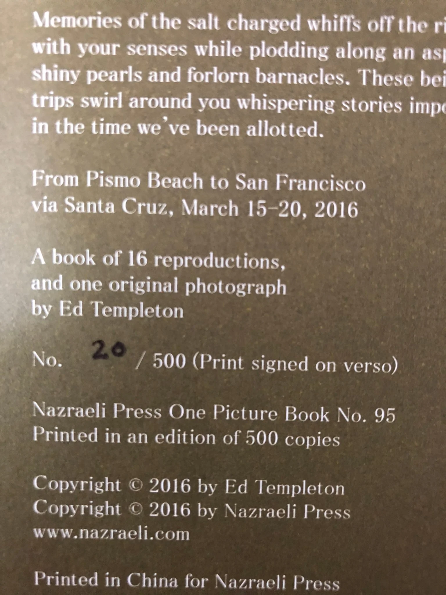 Memories of the Salt Charged Whiffs (One Picture Book) - Image 9