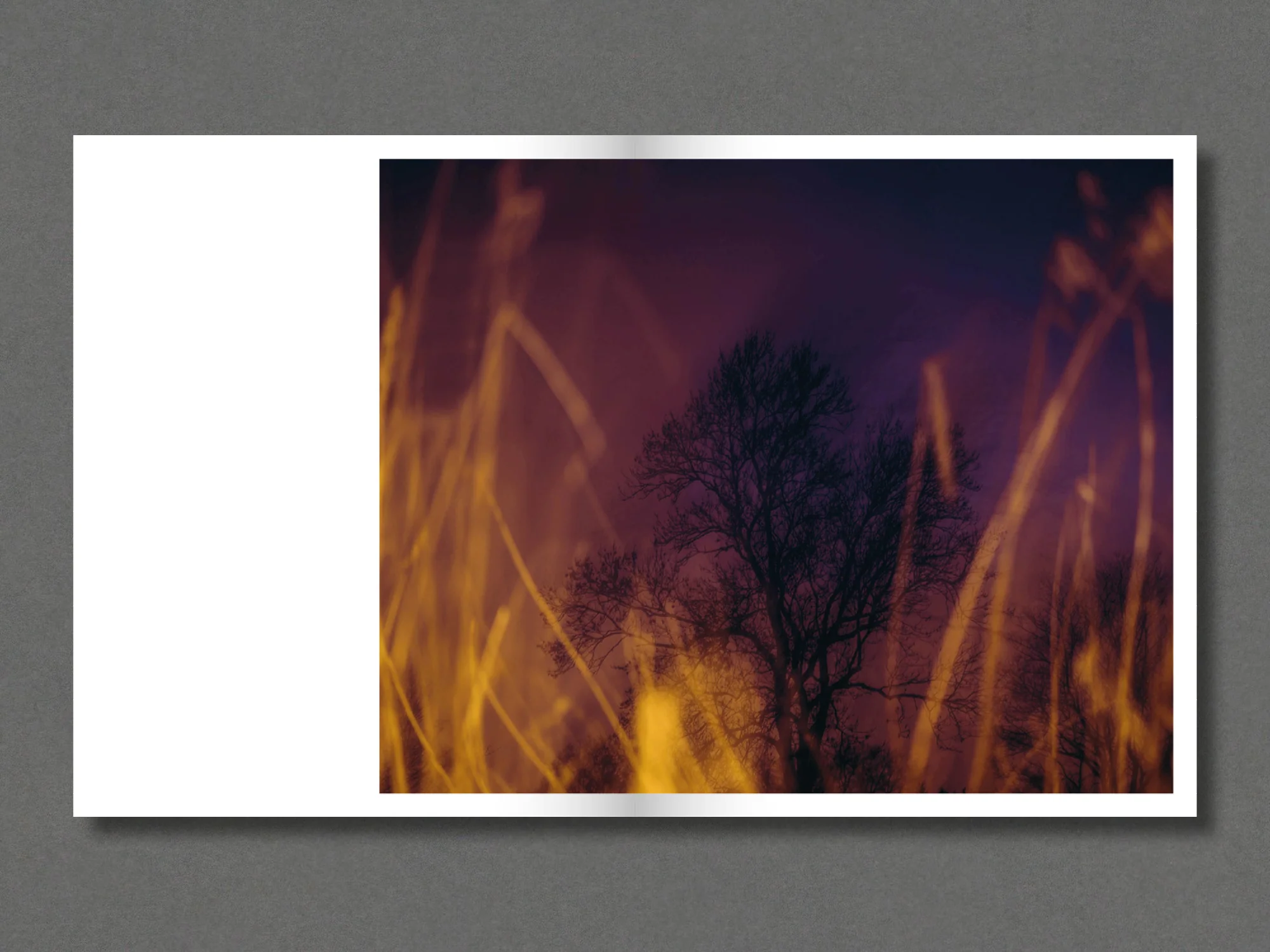 Modern Paradox - Image 3