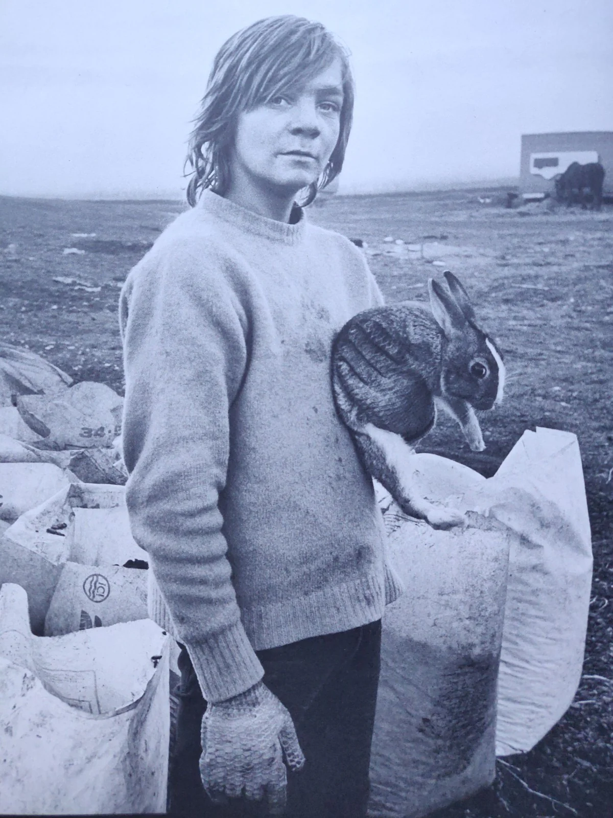 Portraits - Image 4