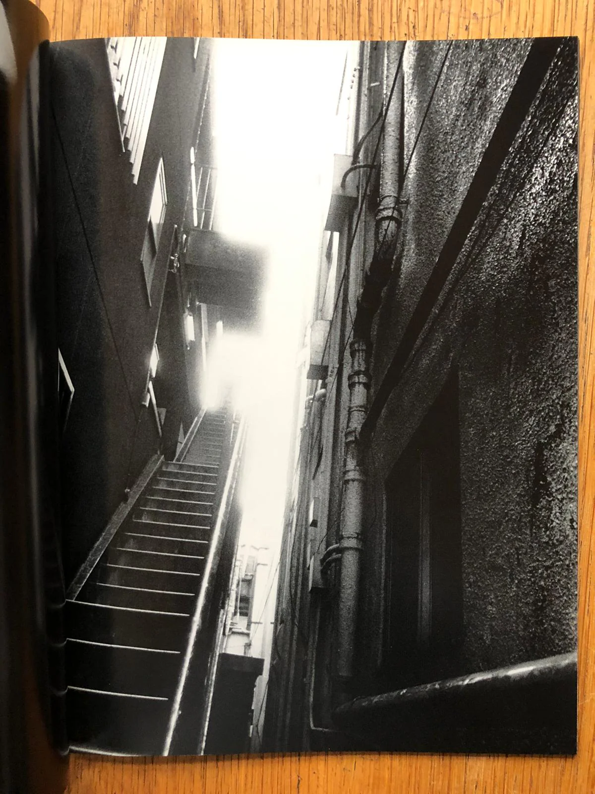 Record NO.6 - Image 4