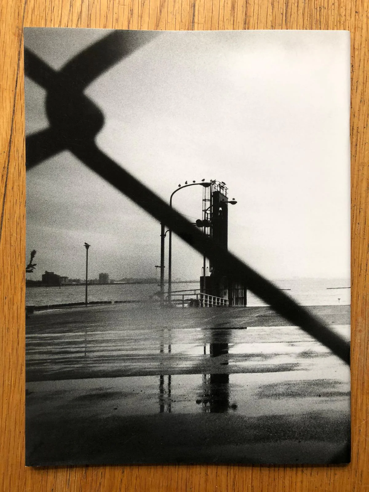 Record NO.7 - Image 6