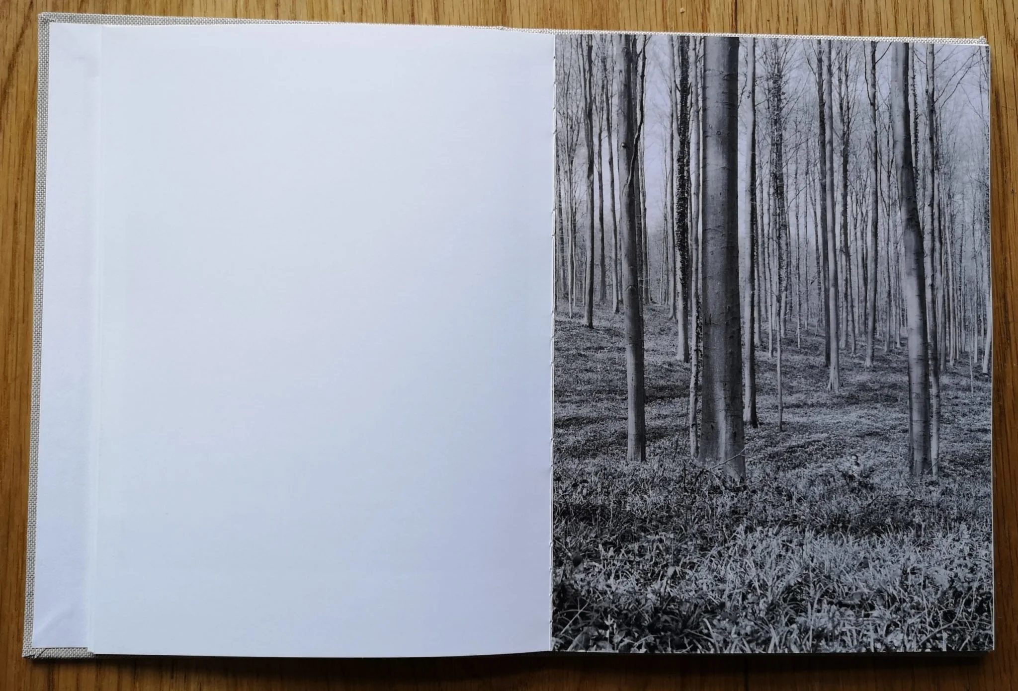 Safe House - Image 6