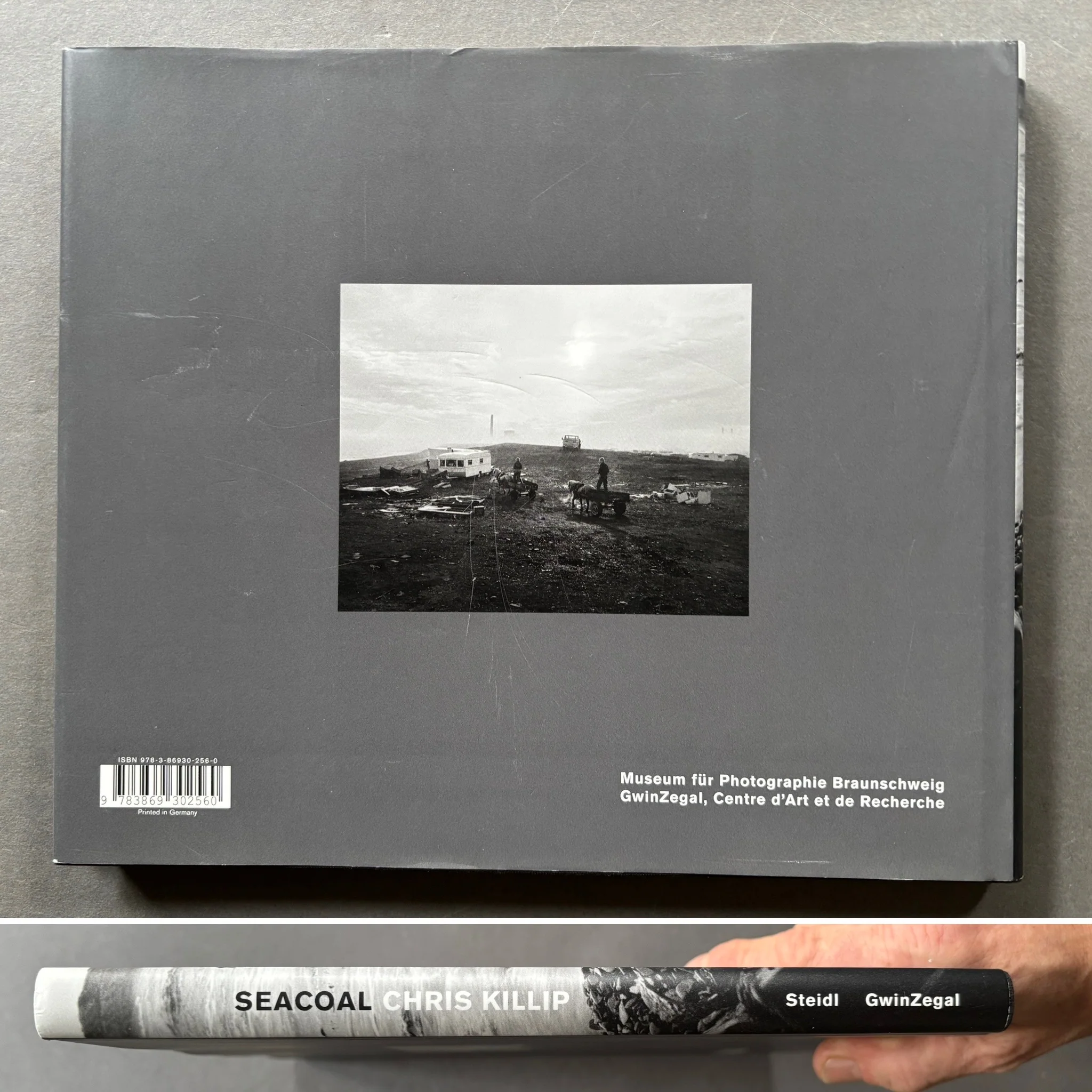 Seacoal - Image 9