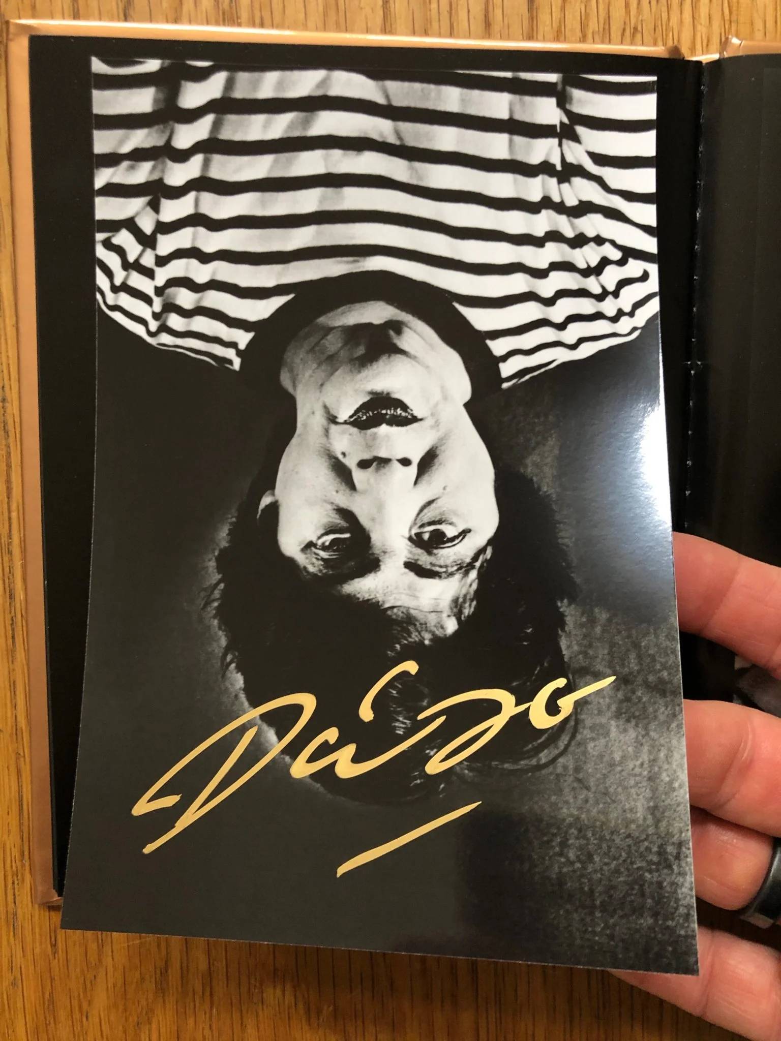 Self (One Picture Book) - Image 3