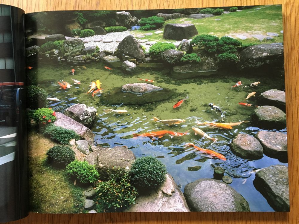 Shinseiki No Shashin - Image 5
