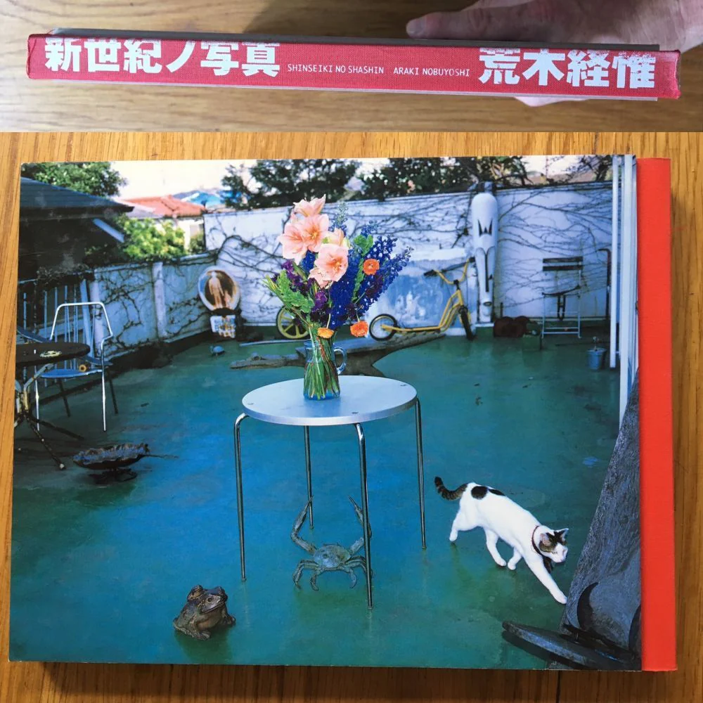Shinseiki No Shashin - Image 7