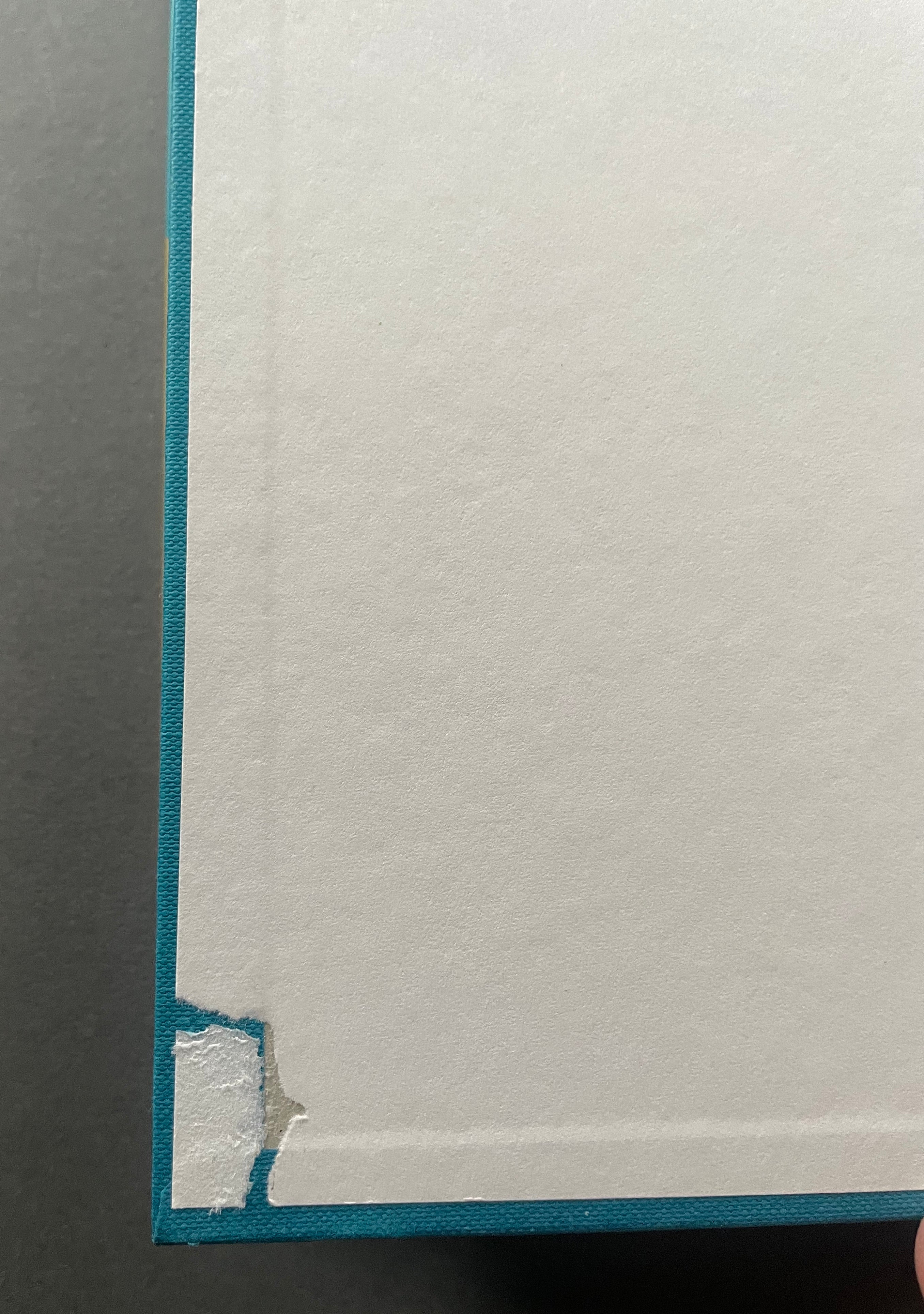 Some Hope - UK 1st - Image 4