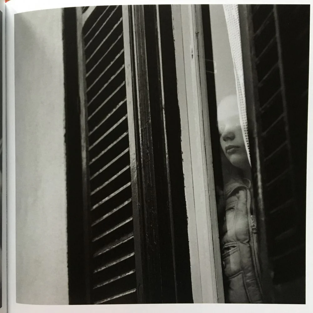 Terra Nostra - Image 6