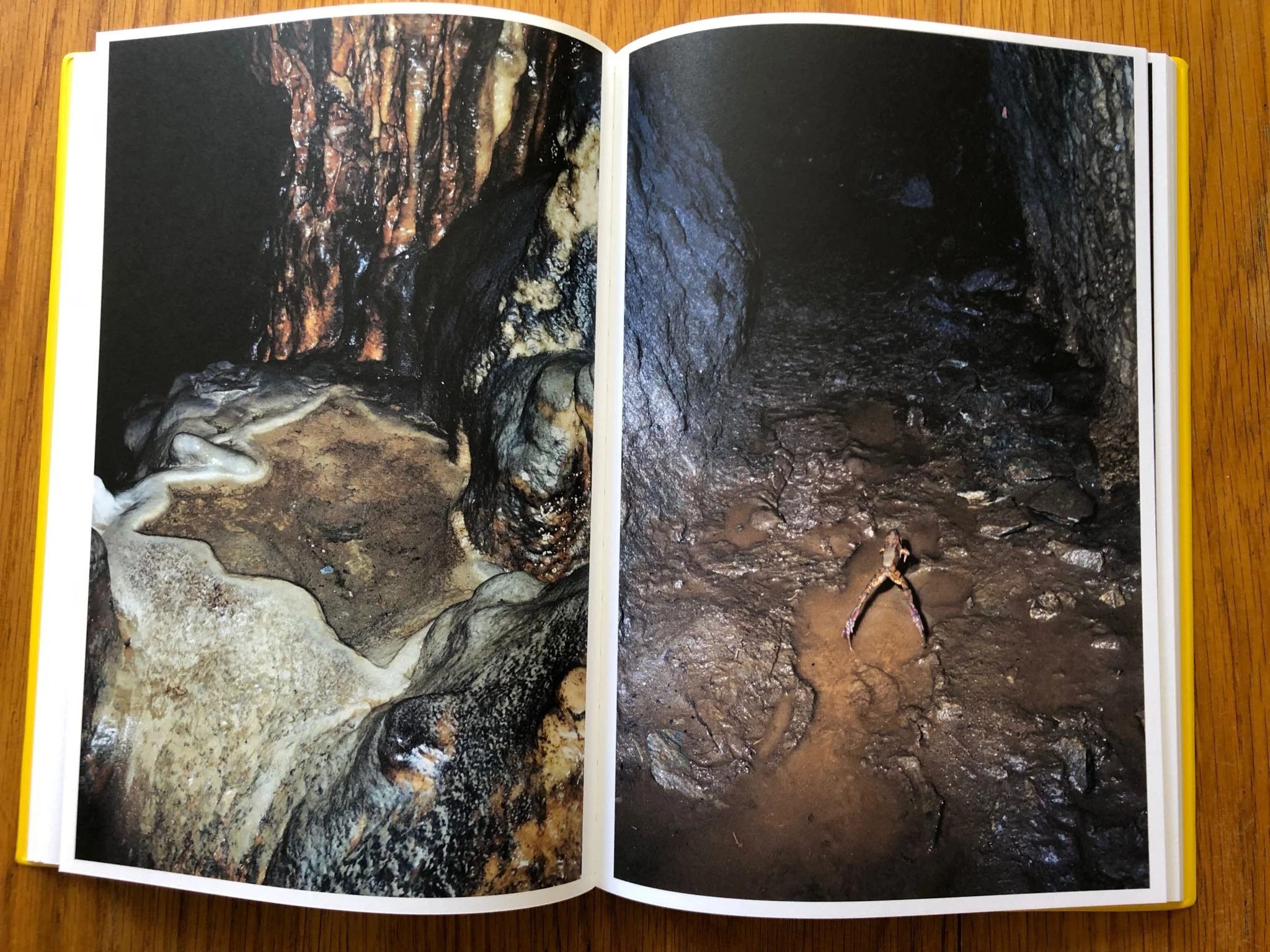 The Arsenic Eaters - Image 5