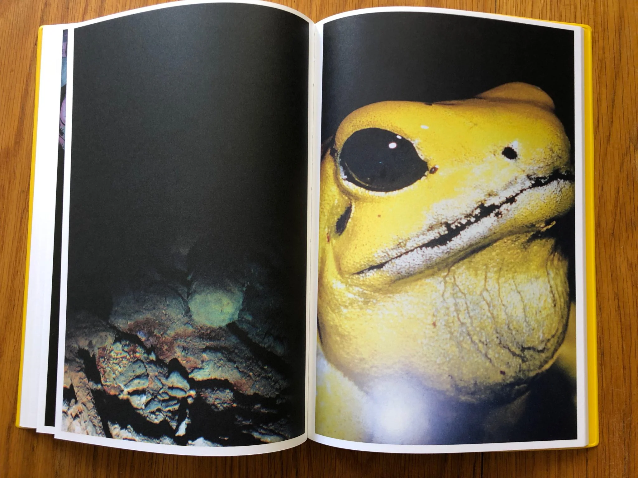 The Arsenic Eaters - Image 6