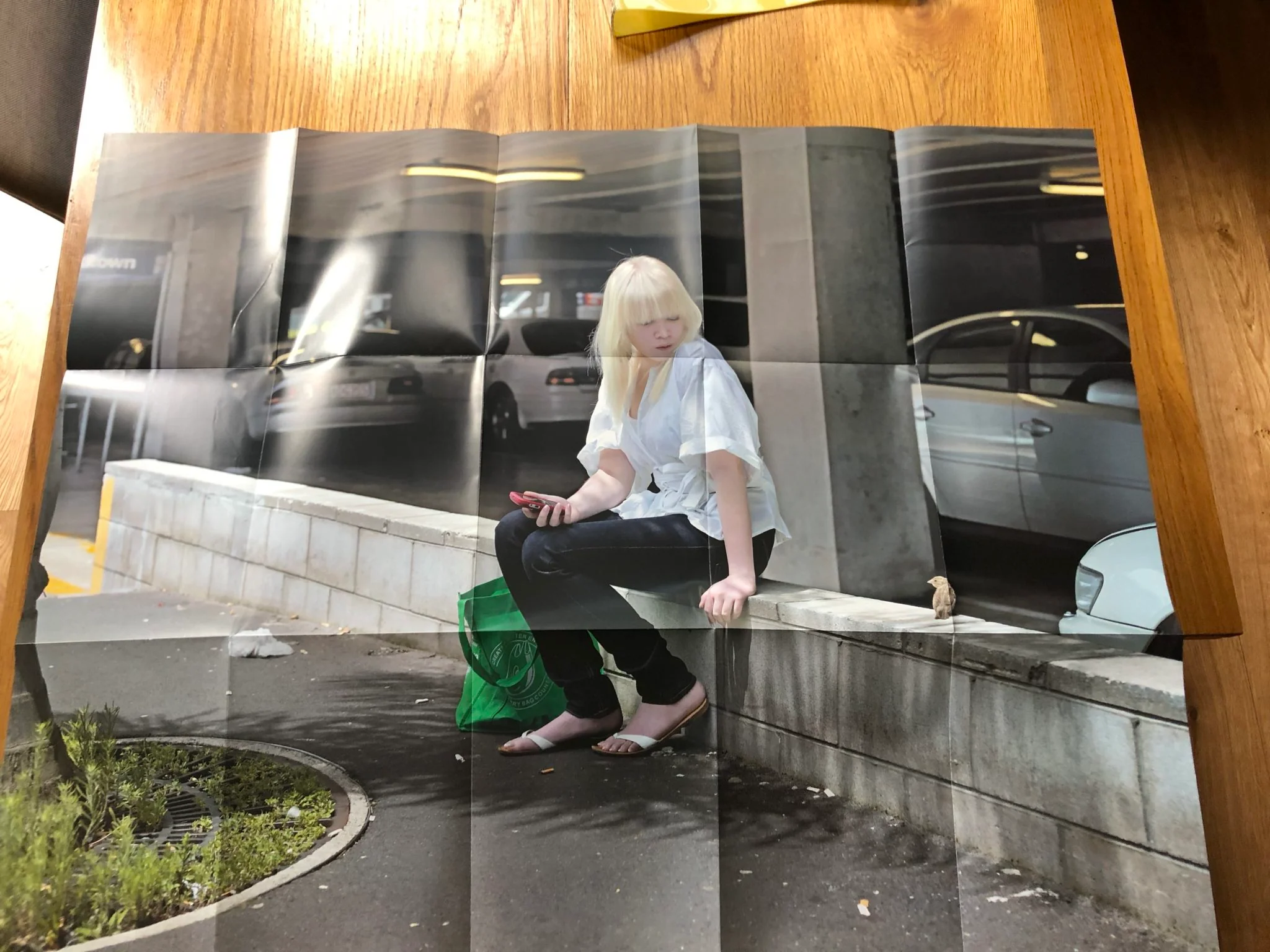 The Auckland Project - Image 10