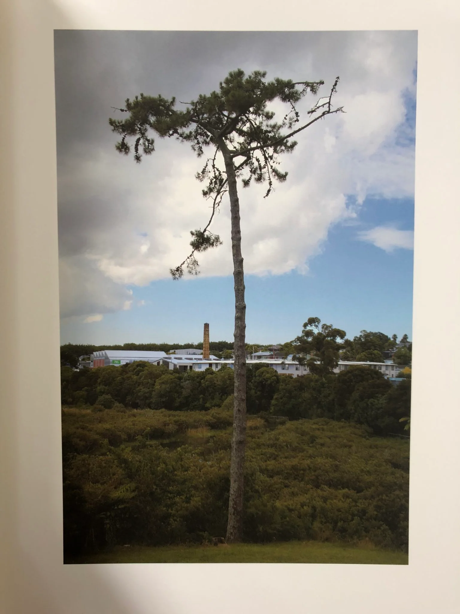 The Auckland Project - Image 4