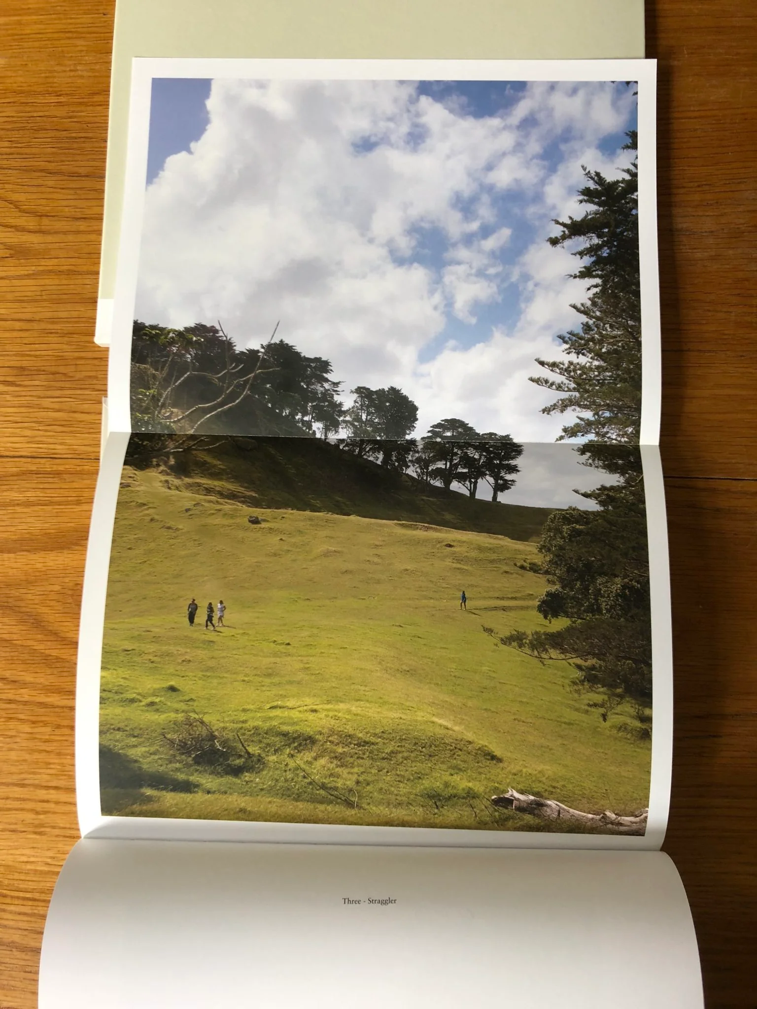 The Auckland Project - Image 6