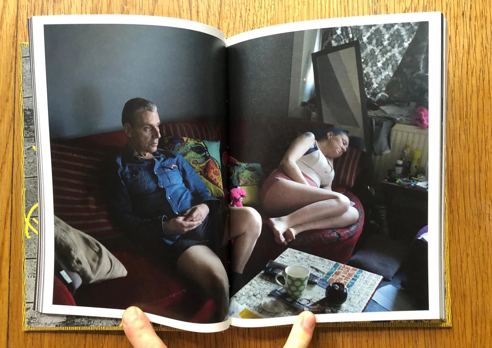 The Budgie Died Instantly - Image 4